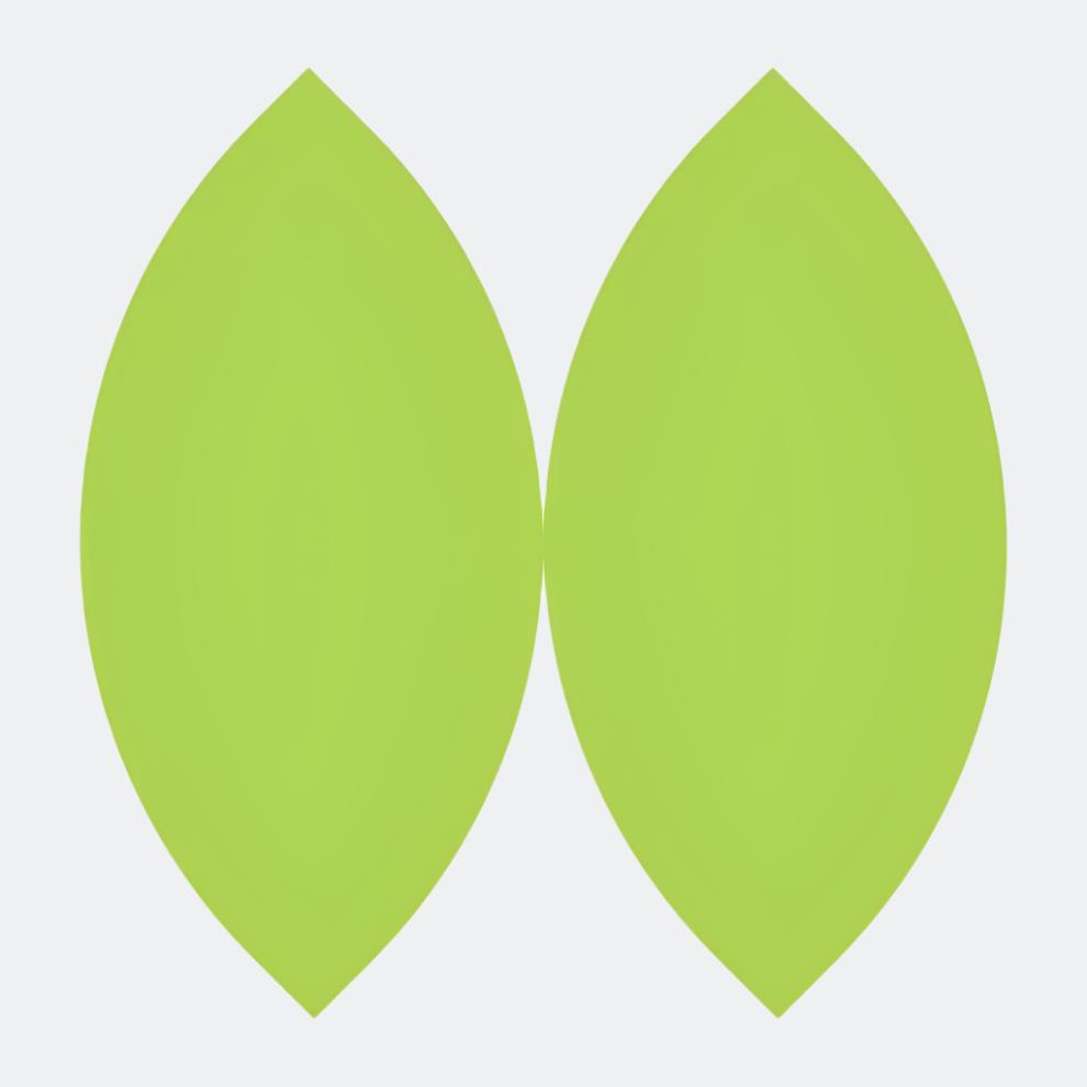 Protein Bars, 6 pack Teja Life