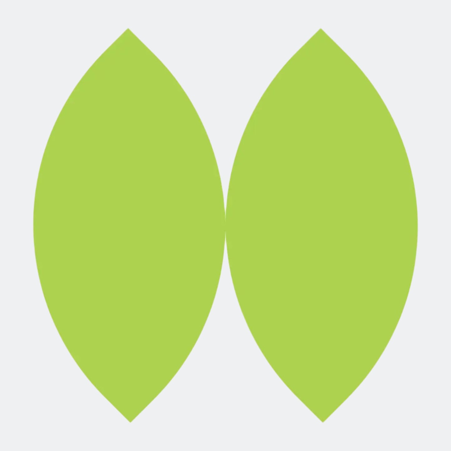 Fiber Energy Bar, 6 pack Teja Life