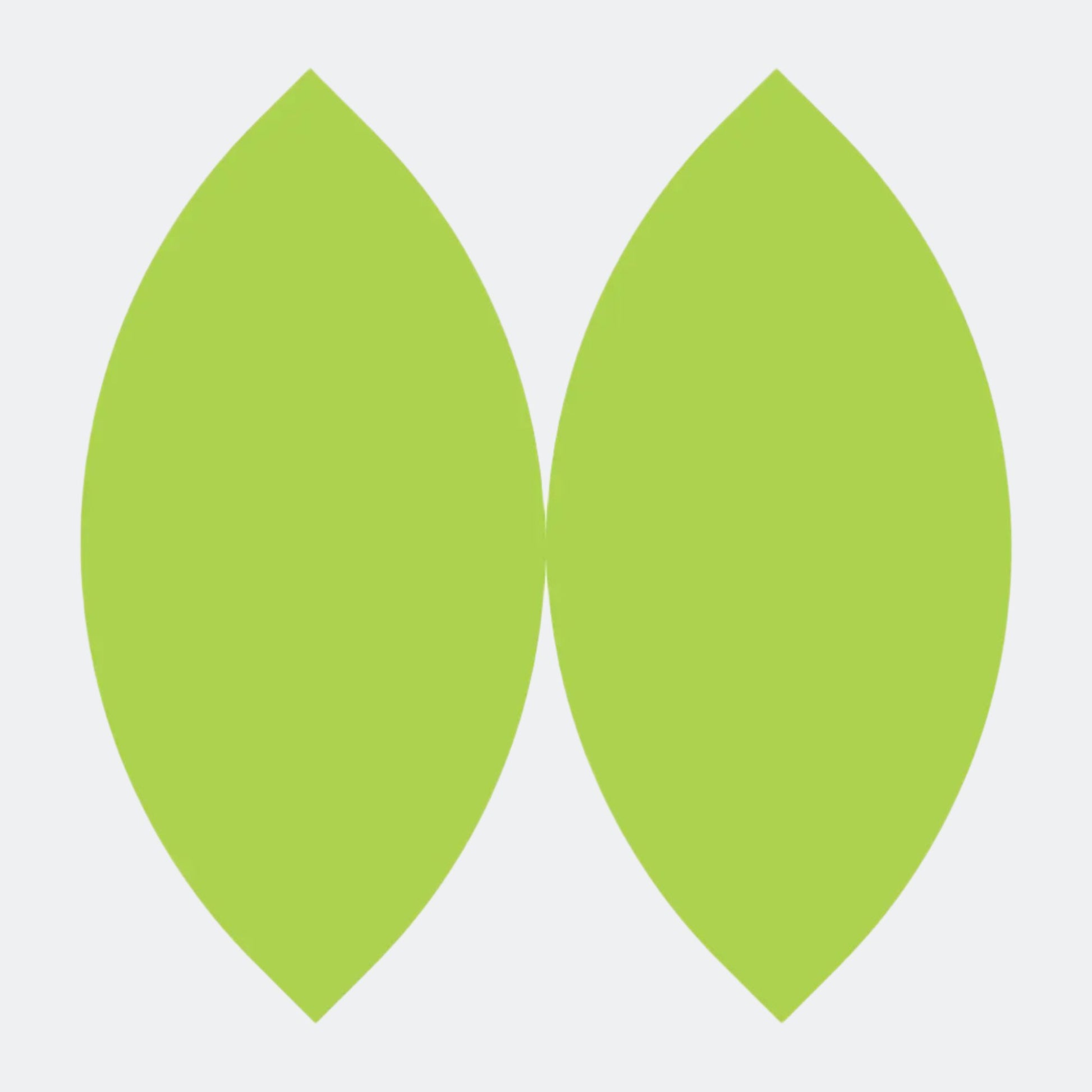 Fiber Energy Bar, 6 pack Teja Life